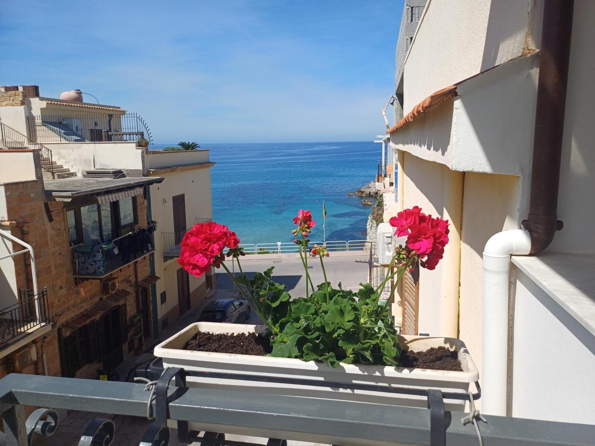 Apartamento Terra Sinus Beautiful Terrasini